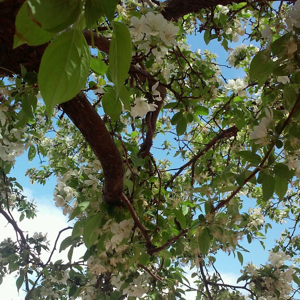 Meet your Posher, Daphnee